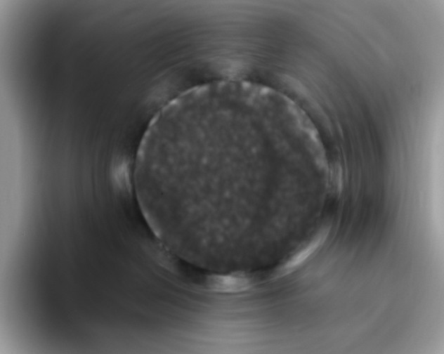 X0000093450286200711091518