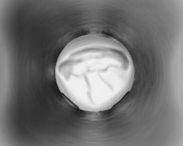 X0000093450288200711091518