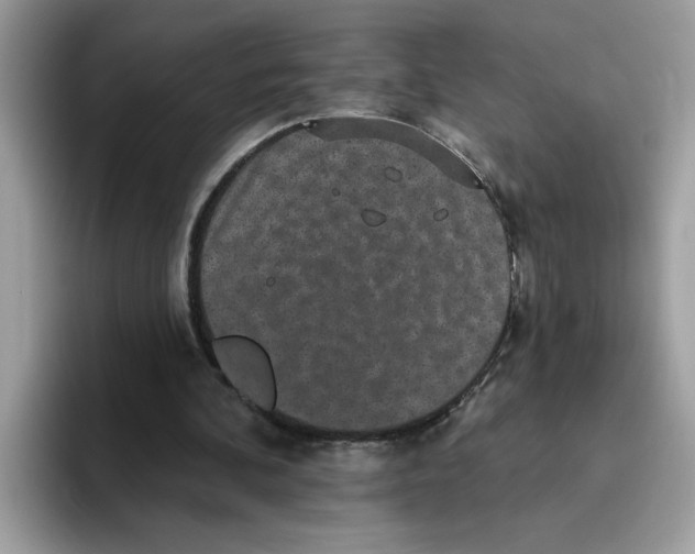 X0000093450292200711091517