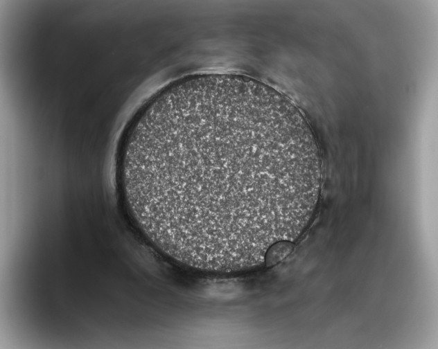 X0000093450296200711091517