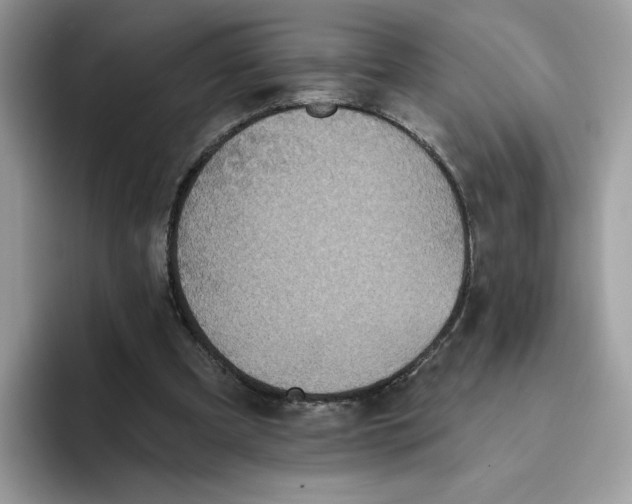 X0000093450297200711091517