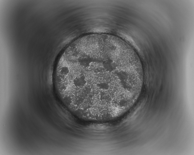 X0000093450299200711091517