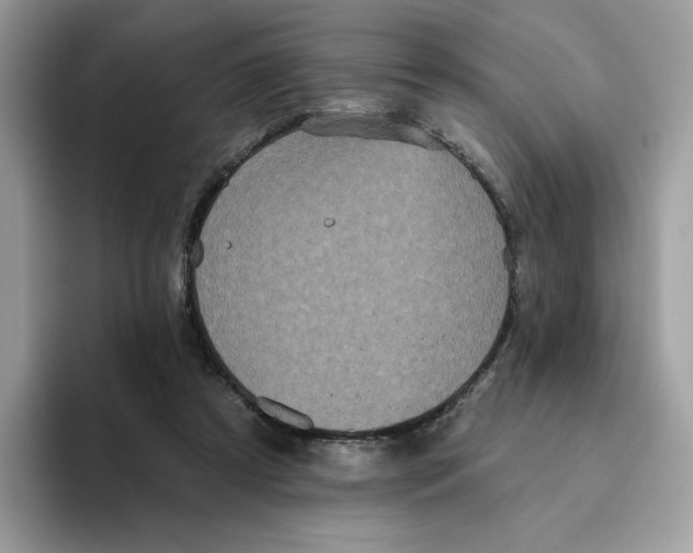 X0000093450305200711091517