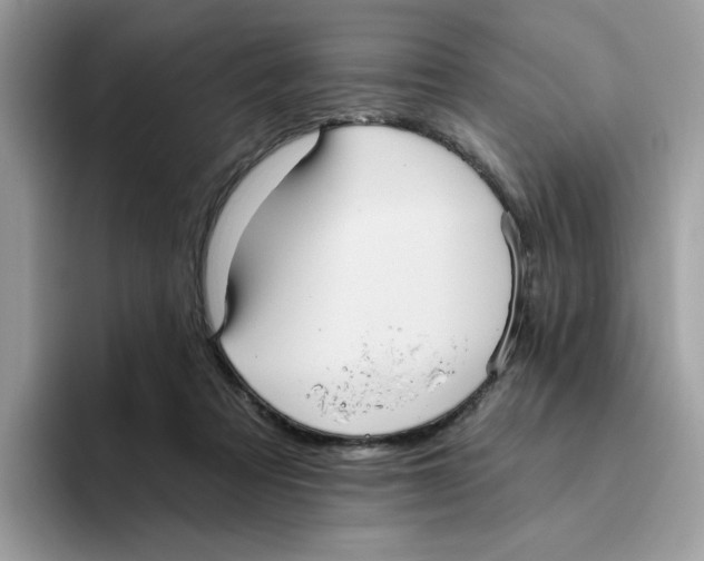 X0000093450313200711091517