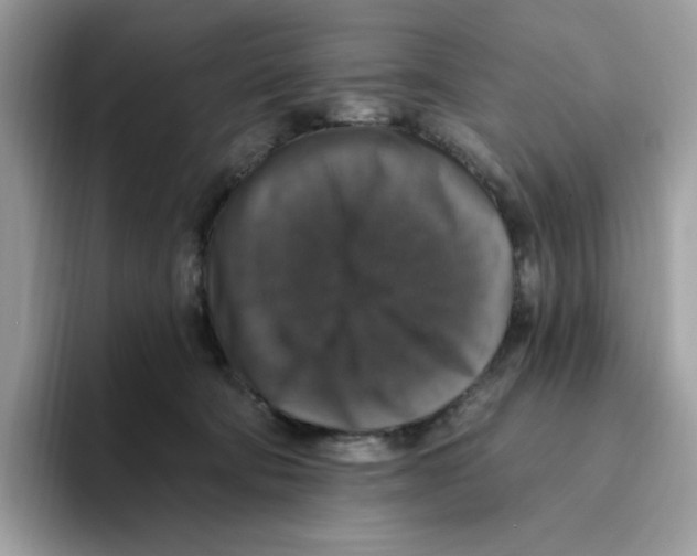 X0000093450322200711091517