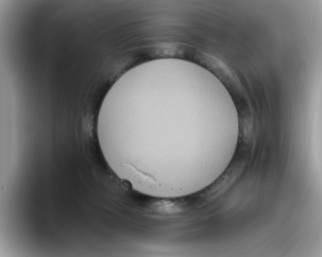 X0000093450326200711091517