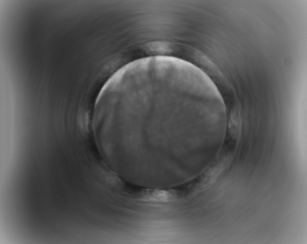 X0000093450330200711091517