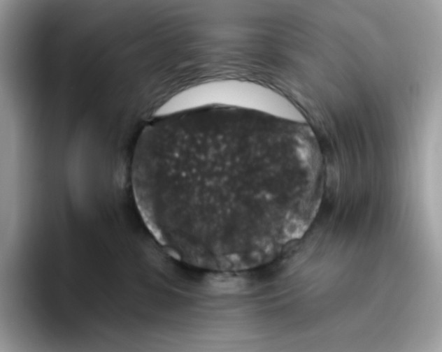 X0000093450331200711091517