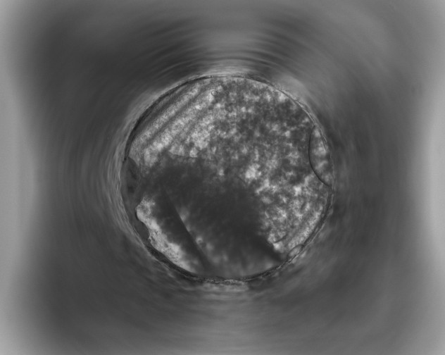 X0000093450337200711091516