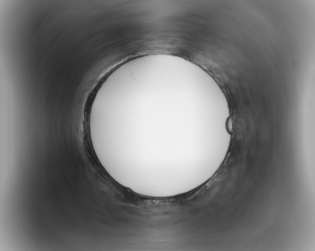 X0000093450338200711091516