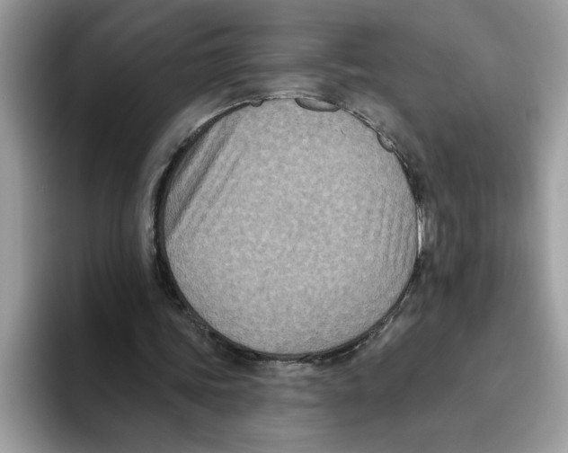 X0000093450339200711091516