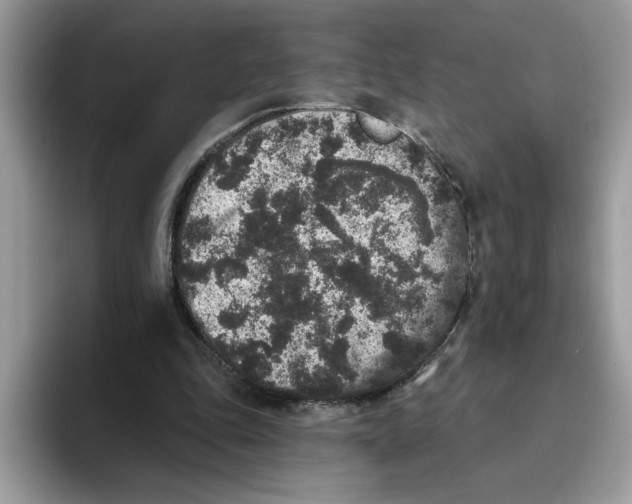 X0000093450343200711091516