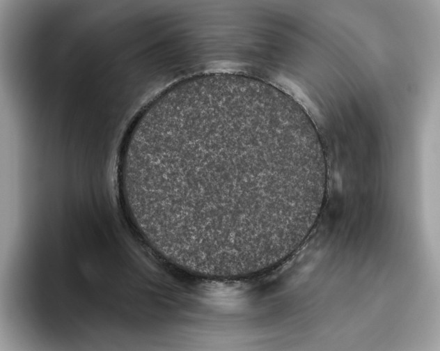 X0000093450346200711091516