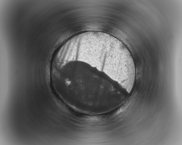 X0000093450349200711091516