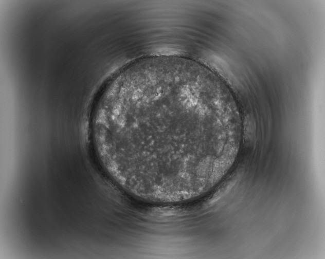 X0000093450351200711091516