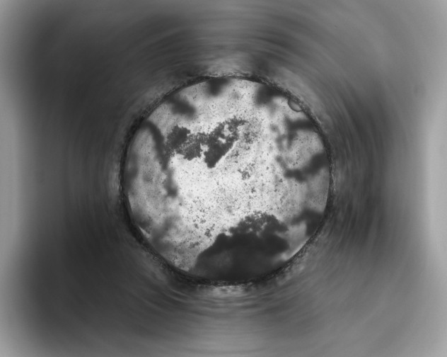 X0000093450353200711091516