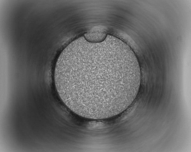 X0000093450354200711091516