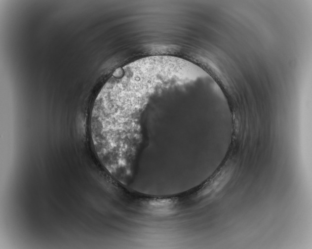 X0000093450357200711091517