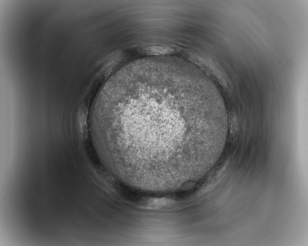 X0000093450360200711091517