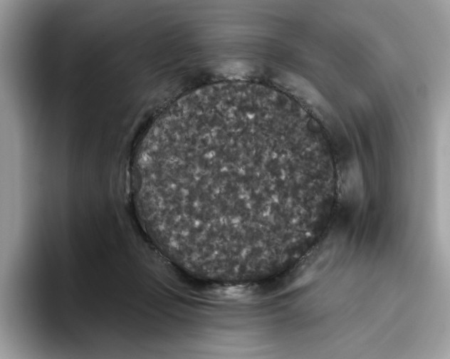 X0000093450365200711091517