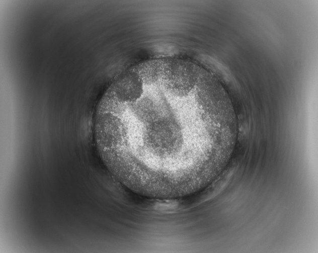 X0000093450369200711091517