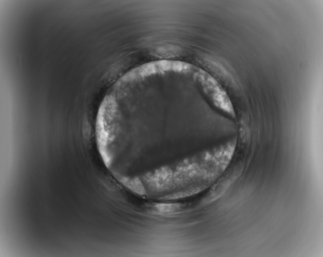 X0000093450371200711091517