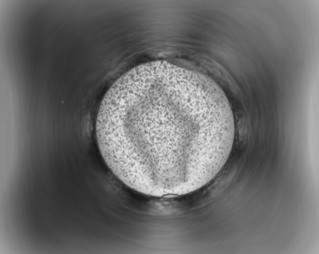 X0000093450372200711091517