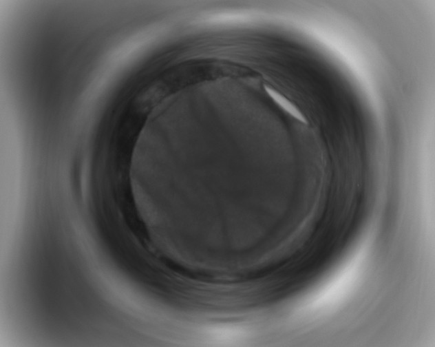 X0000093450382200711091517