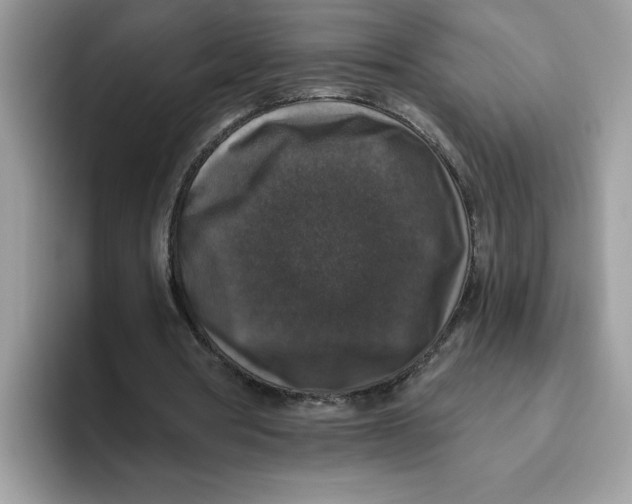 X0000093450386200711091516