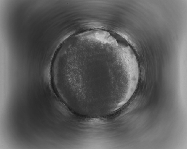 X0000093450390200711091516