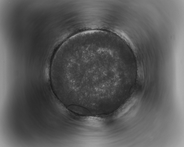 X0000093450393200711091516