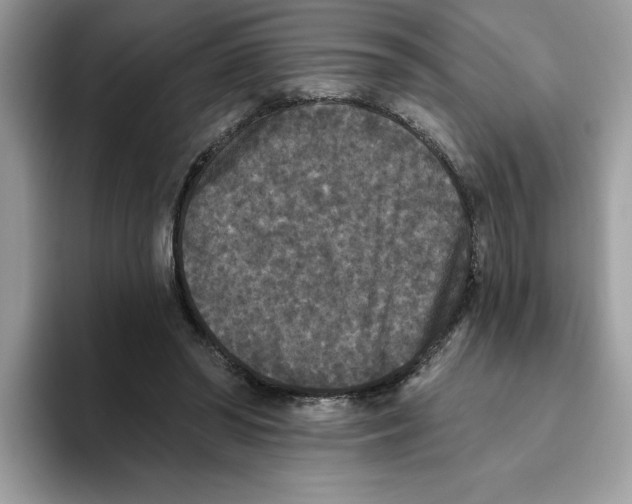 X0000093450398200711091516