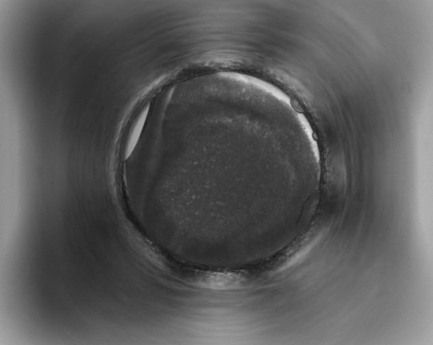 X0000093450399200711091516