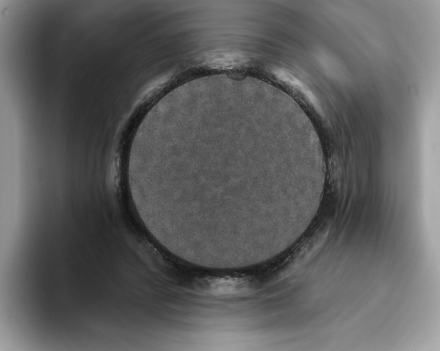 X0000093450400200711091516