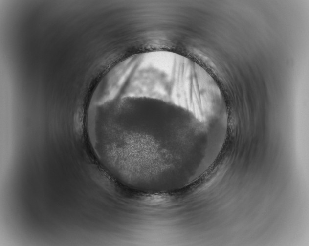 X0000093450402200711091516