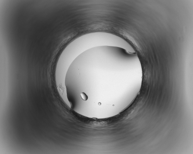 X0000093450403200711091516