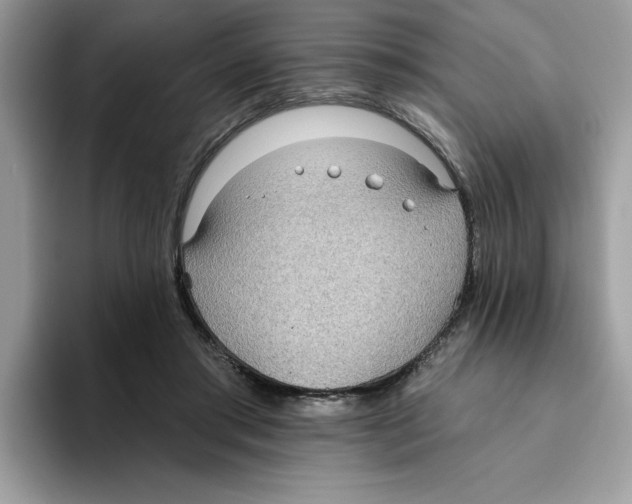 X0000093450405200711091516