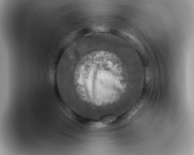 X0000093450409200711091516