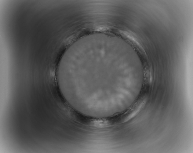 X0000093450415200711091516