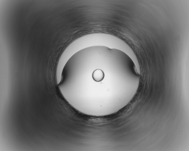 X0000093450417200711091516