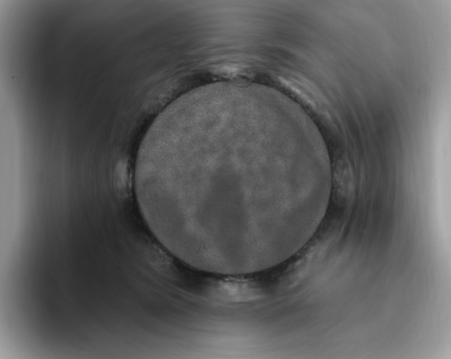 X0000093450420200711091516