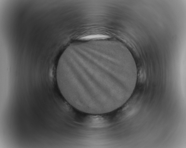 X0000093450424200711091516