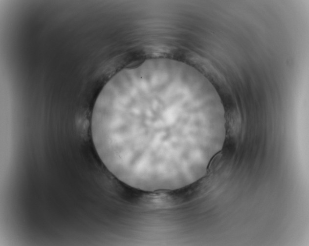 X0000093450427200711091516