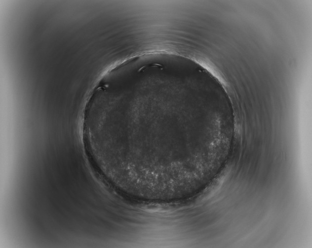 X0000093450434200711091515