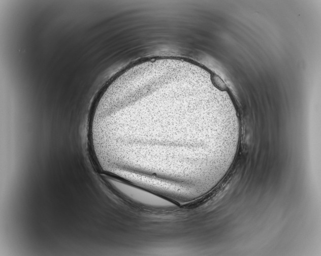 X0000093450437200711091515