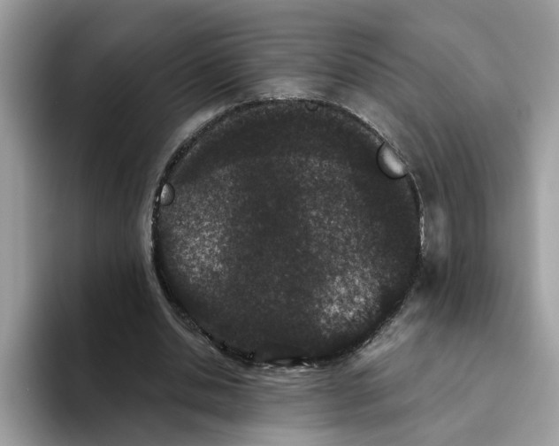 X0000093450438200711091515