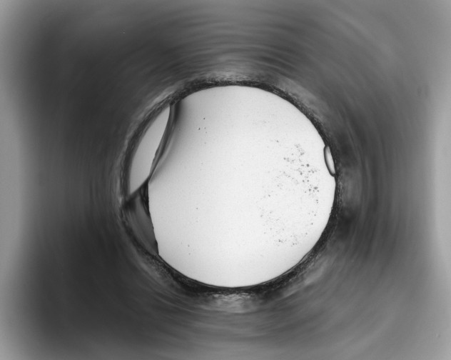 X0000093450446200711091515