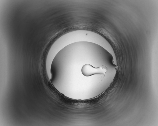 X0000093450448200711091515