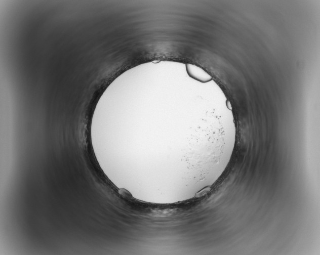 X0000093450450200711091515