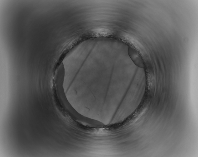 X0000093450451200711091515